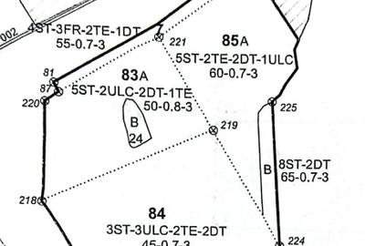 Vând pădure 48 ha – 2 parcele alăturate 22 ha + 26 ha, Autostrada A1 Km 59 - 1