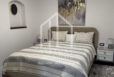 Ideal investitie -Pensiune de vanzare in Paltinis, 337mp, teren 1500mp - 19