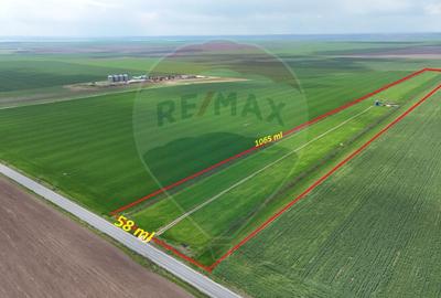 Teren extravilan Săcele ideal pentru silozuri, fermă sau investiție - 1