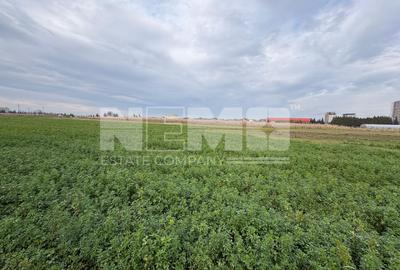 Teren de vânzare | 67 ari | Intravilan | Rădăuți - 3