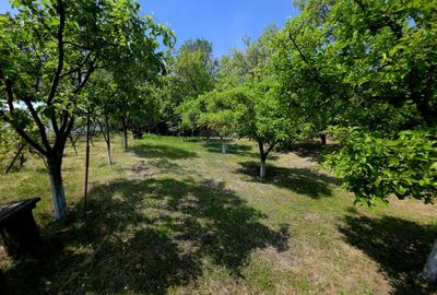 Teren intravilan 4,516mp Doina - 22