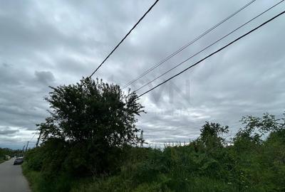 REL4001302 Teren sector 1 Centura DN1 Padurea Baneasa - 3