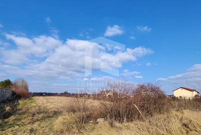 Teren cu deschidere lac Snagov Vladiceasca - 8