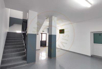 Inchiriere Spatii de Birouri/Productie - Str. Uzinei - Carei - Comision 0% - 19