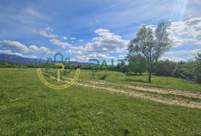 Teren de vânzare în Racovița, Sibiu – Valea Lupului - 4