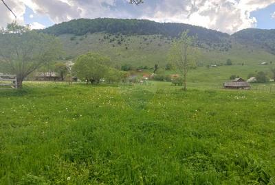 Teren 4,245mp Sirnea / Strada Principala - 2