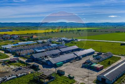Comision 0 % Hală industrială | 362 mp | Hălchiu | Autorizată ISU - 15
