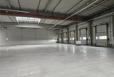 Spatiu Industrial - 5300 mp - Logistica - Productie - Depozitare - Distributie - 25