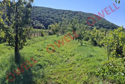 De vânzare casă familială situată în Miercurea Nirajului, zona Sântandrei! - 4