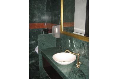 REV0005661 Vila renovata - zona Cismigiu - 14