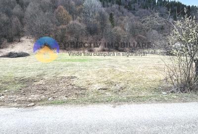 TEREN zona de munte TARCAU - 4