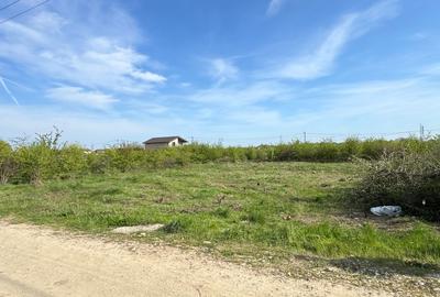 📍 Teren intravilan Premium – 538 mp | Aleea Bradului 59, Smeura – Moșoaia - 12
