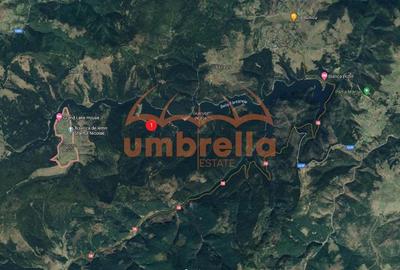 Teren de vanzare 29.131m²/35€ m² lac Belis, la Paraul Butoaie, Giurcuta - 3