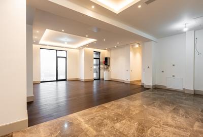 Floreasca Ultra-Lux — Penthouse 317 mp - 1