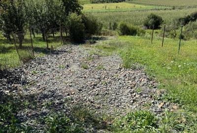 Teren de vanzare extravilan la intrare in Pata 800mp+200mp drum - 4