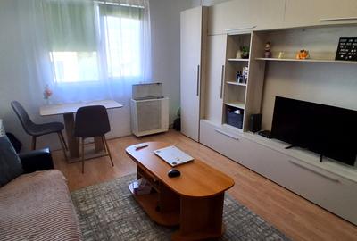 Garsoniera de vanzare, Dambul Rotund, 22 mp - 1