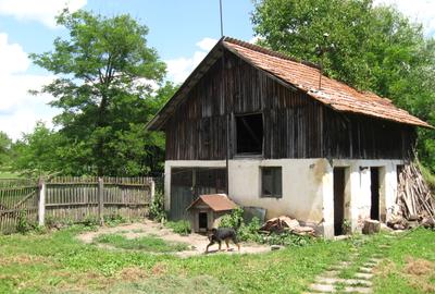 (101) Teren cu casa, pentru afaceri / Direct proprietar - 4