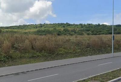 Teren intravilan cu PUZ, 500 mp, zona Lombului - 3