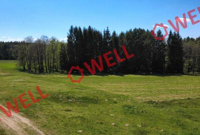 De vânzare teren extravilan în Reci! - 10
