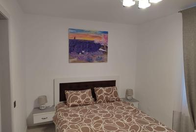 De vănzare casă - pensiune în stațiunea Călimănești Caciulata - 12