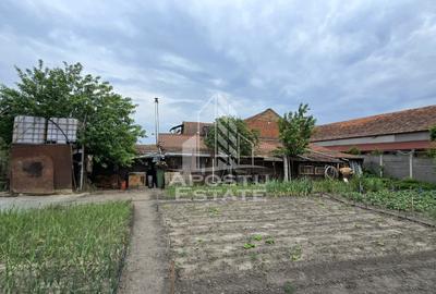 Casa Individuala Dragsina, Teren 2600 Mp - 24