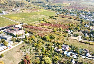 Teren de vânzare – 700 mp, Ștefănești, Județul Argeș - 7