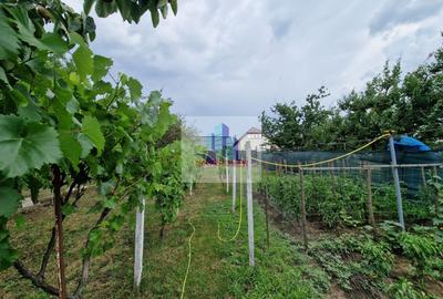 Casa P+M in zona Dealuri Oradea - ideala pentru 2 familii! - 21