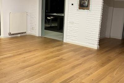 Vila individuala Iancu Nicolae -  Serban Cantacuzino - 26