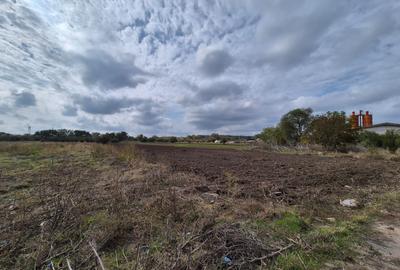 Teren 5.000 mp | Deschidere 28 ml | Jilava | Investiție - 2