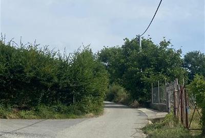 Teren de vanzare in Rasinari - 6
