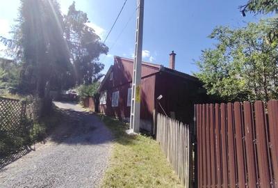 Casa de vacanta (Gheorgheni, zona km 4) - 21