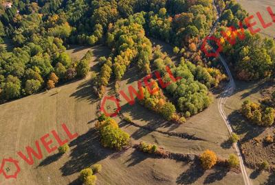 Teren extravilan de vânzare, la intrarea în zona turistică Bodvaj! - 4