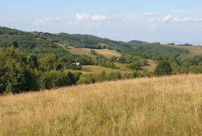 De vanzare teren in zona Crint -Tilisca in golul alpin, direct de la proprietar! - 11