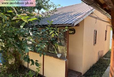 Casa de vanzare - Valea Calugareasca - 6