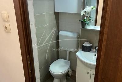 Apartament cu 2 camere -Sala Palatului-str. Ion Campineanu 23. Pet friendly. - 31