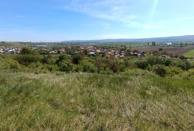 Teren Construcții extravilan de 2160 mp, în Pâclișa