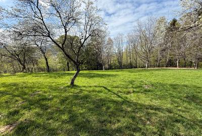Teren intravilan 1355 mp in zona Bran, judetul Brasov - 8