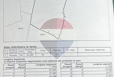 Teren 2,42 ha in Poiana Horea | Cadru montan | Potential turistic - 4