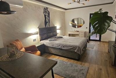 De inchiriat apartament 1 camera Ultimul Leu, etaj 5/7, 400 euro - 1