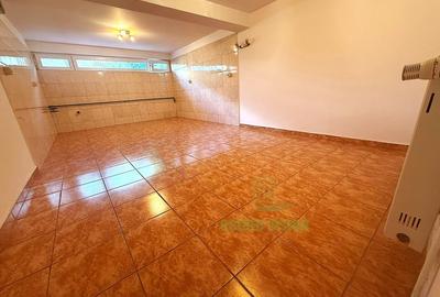 Vila D+P+1, 5 camere, 150 mp utili + demisol, teren 300 mp, aproape de Palatul M - 14