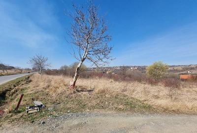 Teren Construcții intravilan de 8000 mp, în Daia