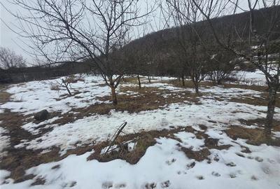 Teren 1812 mp, intravilan , Sovata, jud, Mures - 5