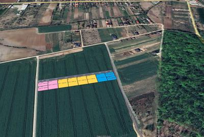 Loturi de teren la padure | 1000mp | Padurea Snagov - Izvorani- - 1