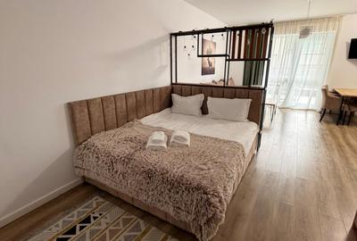 Studio - Green Future Sinaia  - inchiriat cu 550 euro/luna - 5