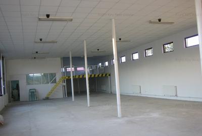 Oportunitate investitie! Hala cu birouri 600mp, stradal, zona centrala! - 4