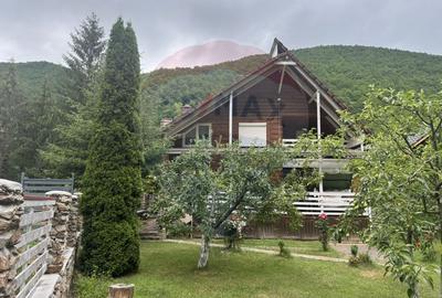 Cabana autentica de munte Frasinet - Baisoara 600 mp teren - 10
