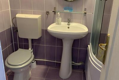 De inchiriat! Apartament cu 2 camere aproape de Iulius Mall - 11