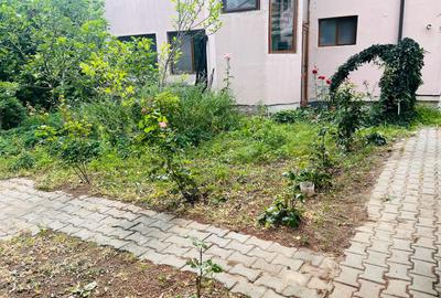 Oaza de liniste si verdeata, aproape de Km 0 -  Brestei, zona Obedeanu - 15