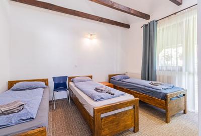 Pensiune/Vila turistica /cazare muncitori in Cristian Brasov - 23