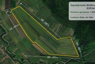 Teren 8,95 ha Roșia Sibiu - 1